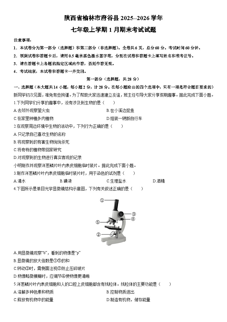 陕西省榆林市府谷县2025--2026学年七年级上学期1月期末考试生物试卷(学生版)第1页