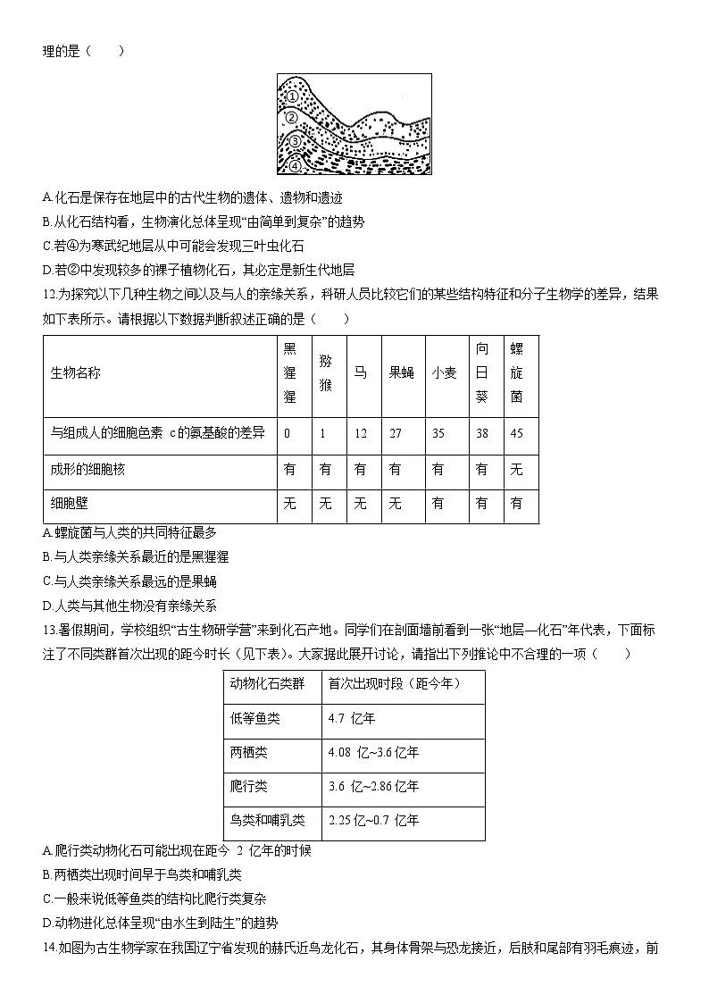 2025-2026学年河北省张家口市宣化区八年级上学期期末生物试卷(学生版)第3页