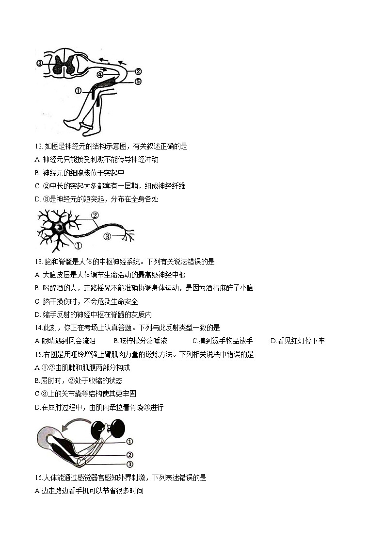 河南洛阳市伊川县2025_2026学年第一学期期末质量调研检测 八年级生物学试卷(文字版,含答案)第3页