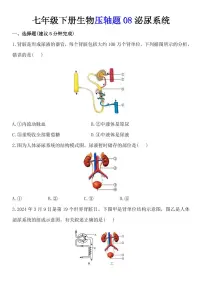 2024版人教版七年级下册生物期末压轴题08泌尿系统练习含答案