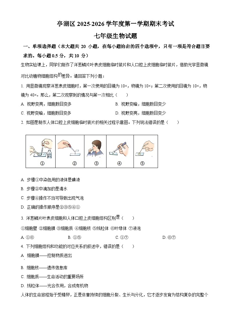 江苏盐城市亭湖区2025-2026学年度第一学期期末考试七年级生物试题(试卷+解析)第1页
