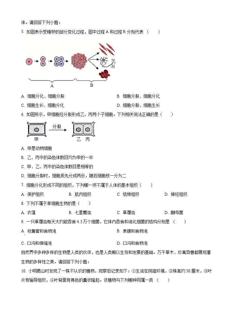 江苏盐城市亭湖区2025-2026学年度第一学期期末考试七年级生物试题(试卷+解析)第2页