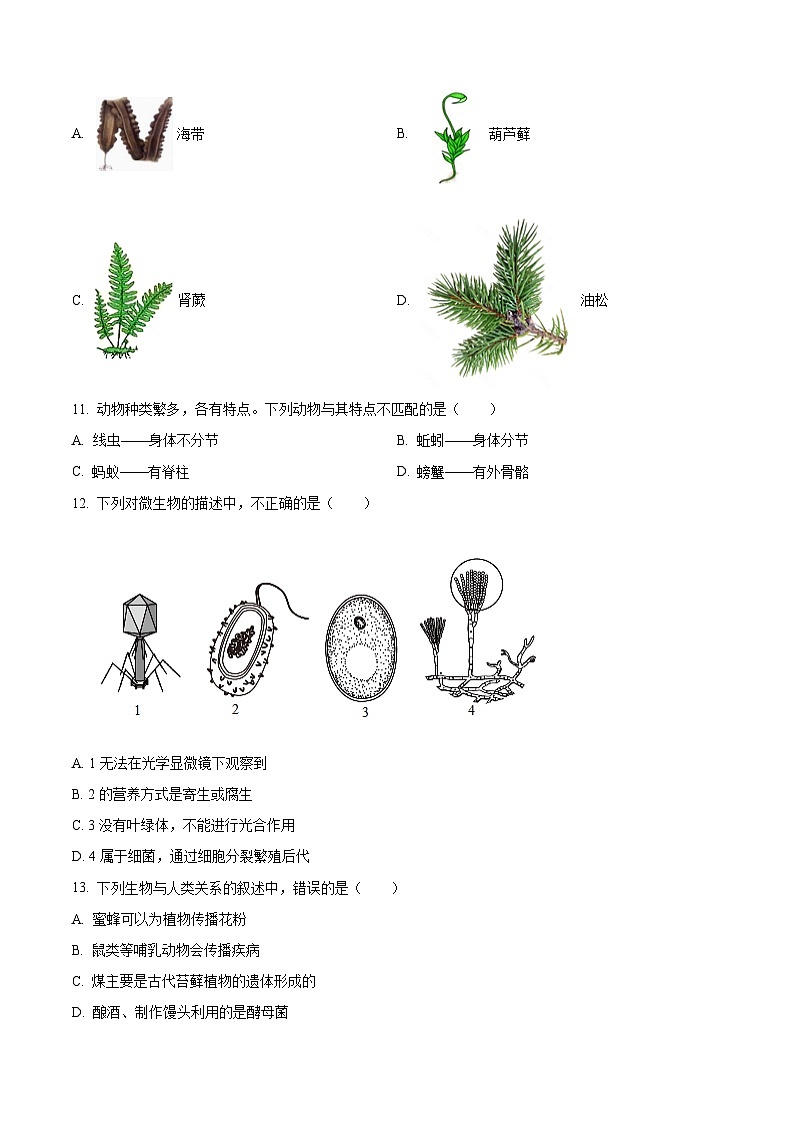 江苏盐城市亭湖区2025-2026学年度第一学期期末考试七年级生物试题(试卷+解析)第3页