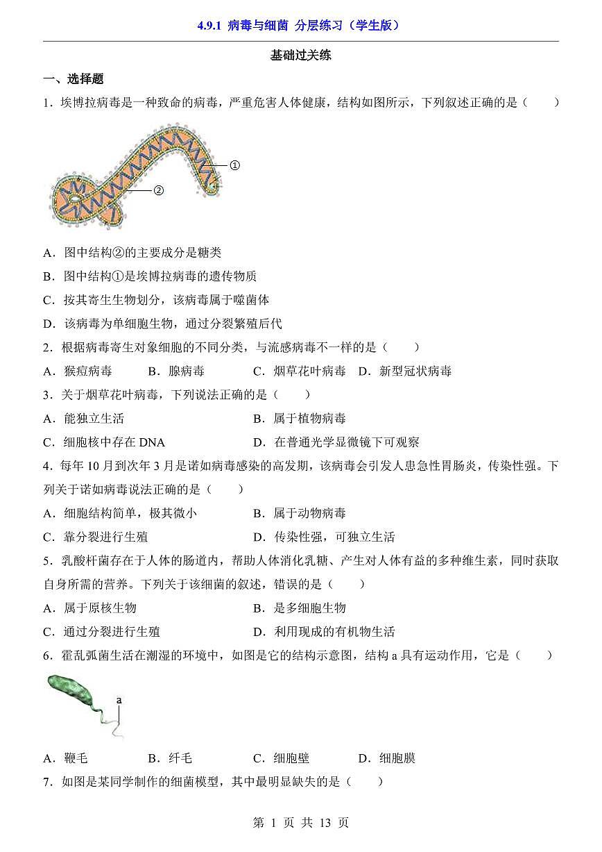 2024版苏科版七年级下册生物一课一练4.9.1 病毒与细菌(含答案解析)第1页