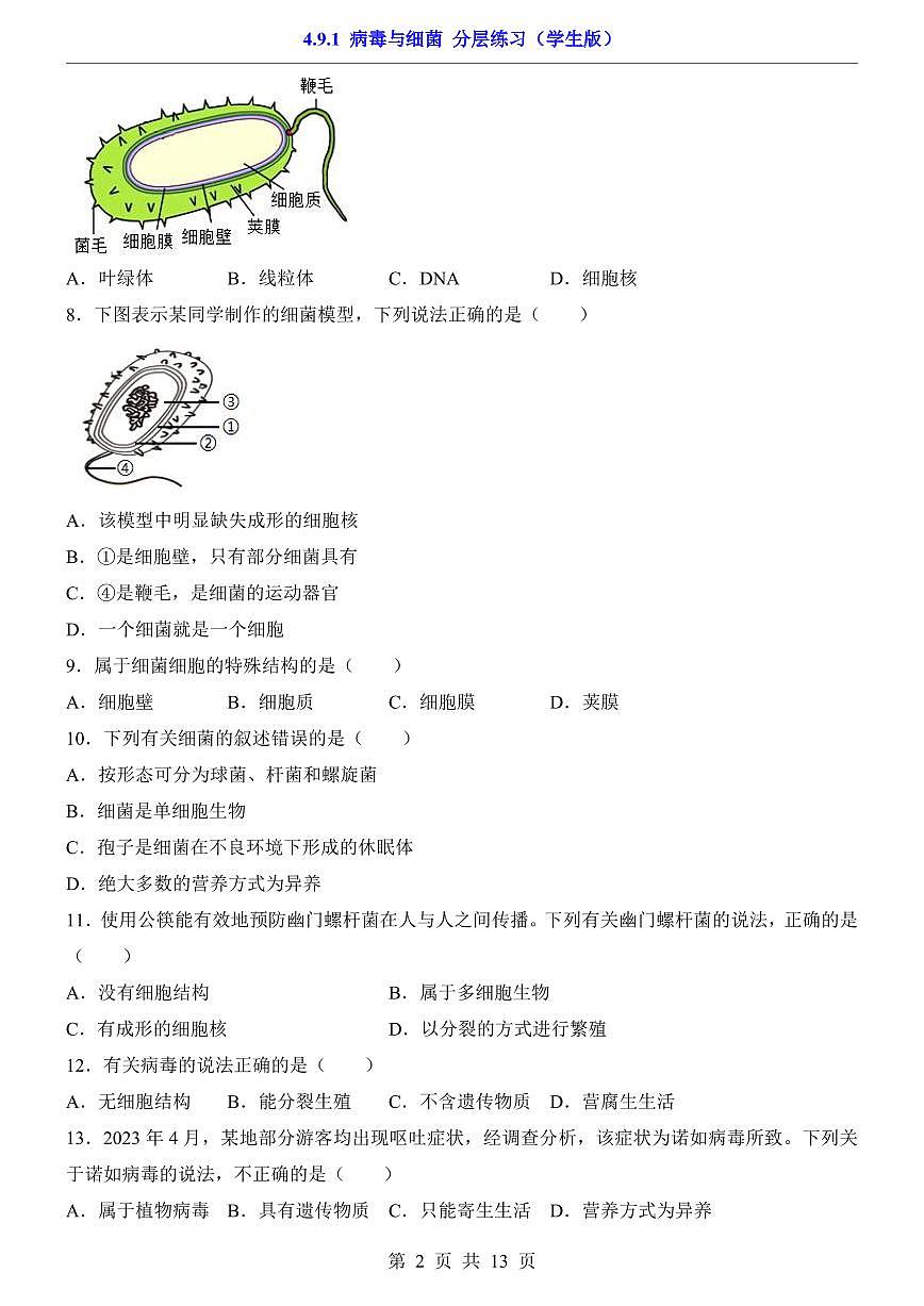 2024版苏科版七年级下册生物一课一练4.9.1 病毒与细菌(含答案解析)第2页
