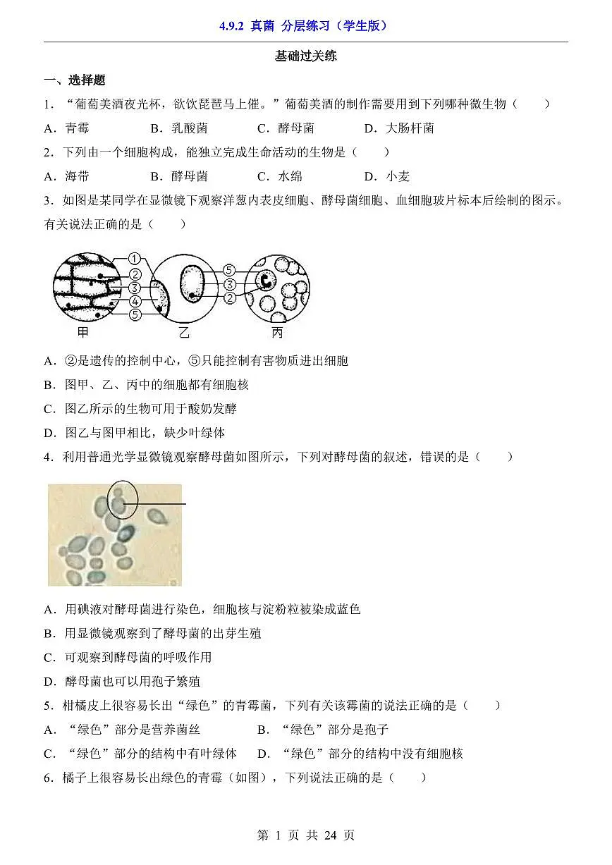 2024版苏科版七年级下册生物一课一练4.9.2 真菌(含答案解析)第1页