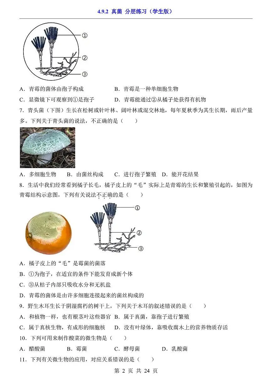 2024版苏科版七年级下册生物一课一练4.9.2 真菌(含答案解析)第2页
