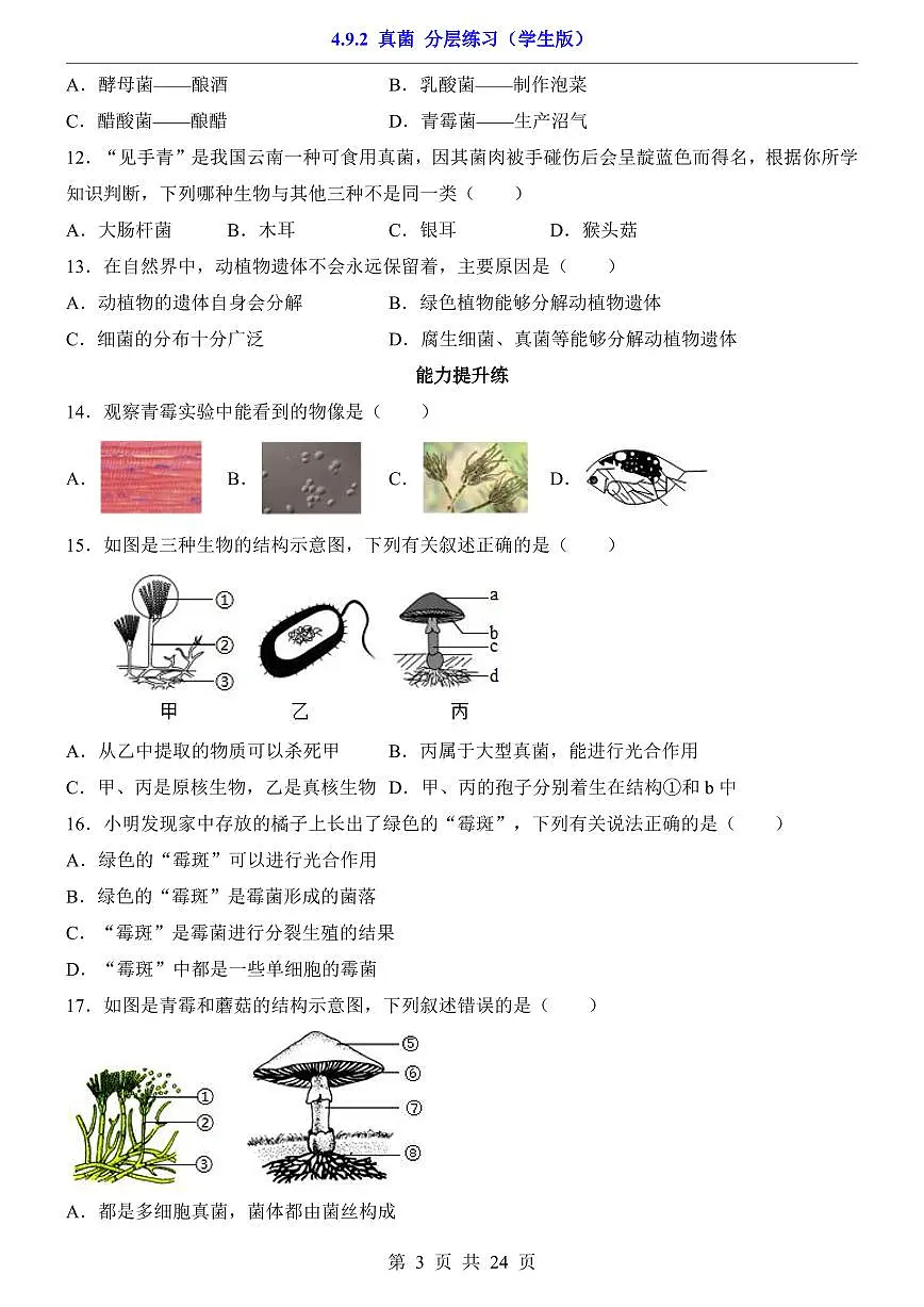 2024版苏科版七年级下册生物一课一练4.9.2 真菌(含答案解析)第3页