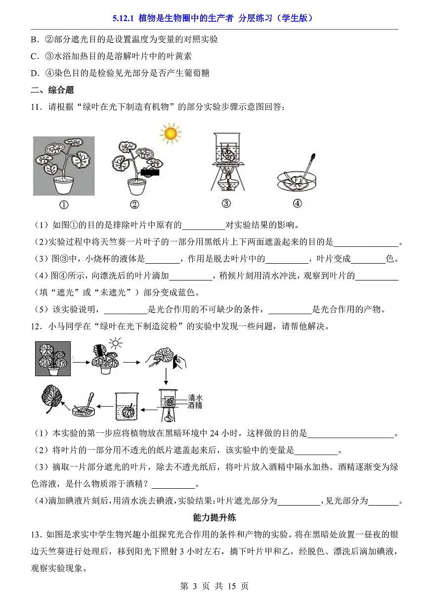 2024版苏科版七年级下册生物一课一练5.12.1 植物是生物圈中的生产者(含答案解析)第3页