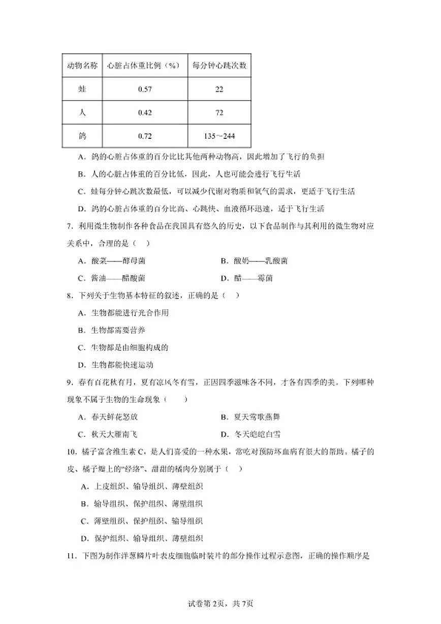 2025-2026学年七年级上册生物新人教版期末综合练习题(含答案)第2页