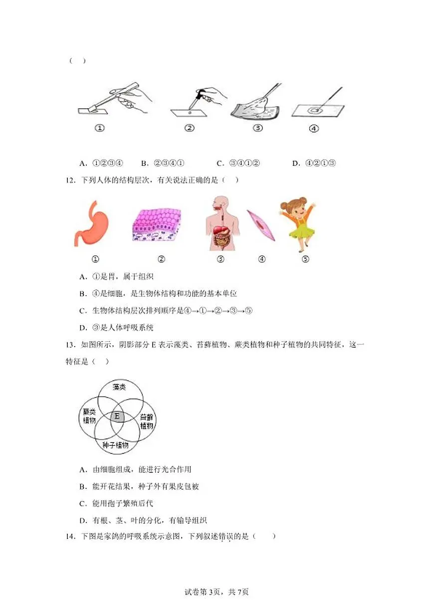 2025-2026学年七年级上册生物新人教版期末综合练习题(含答案)第3页