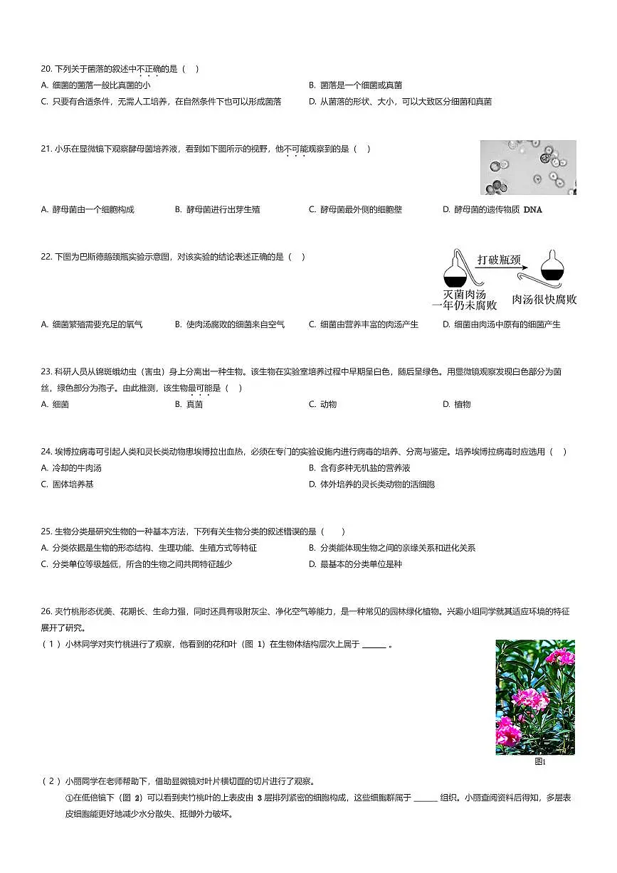 2025~2026学年北京东城区初一上学期期末生物试卷(有答案解析)第3页