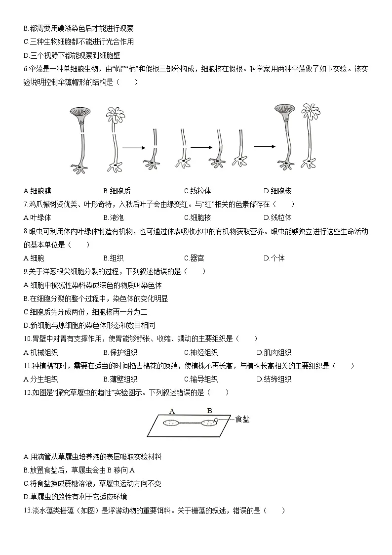2025-2026学年云南省昆明市七年级上学期期末考试生物试卷(学生版)第2页