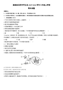 2025-2026学年湖南省岳阳市平江县八年级上学期期末生物试卷（学生版）