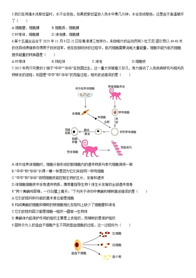 2025-2026学年新疆喀什地区七年级上学期期末考试生物试卷(学生版)第2页