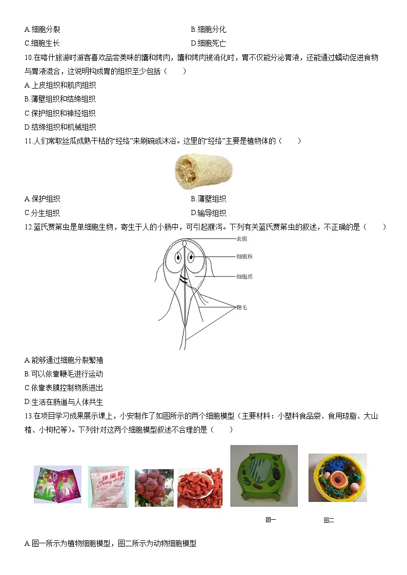 2025-2026学年新疆喀什地区七年级上学期期末考试生物试卷(学生版)第3页