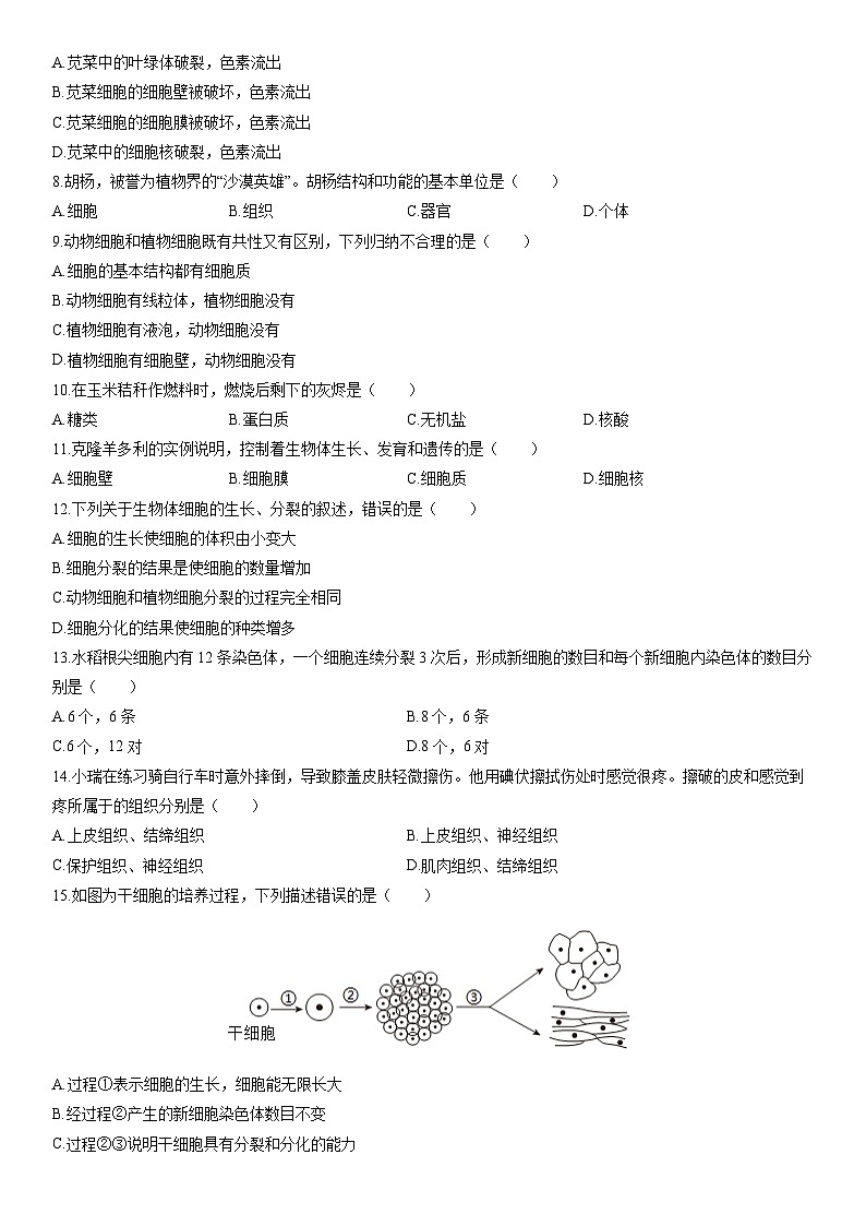 2025-2026学年新疆乌鲁木齐市七年级上学期期末考试生物试卷(学生版)第2页