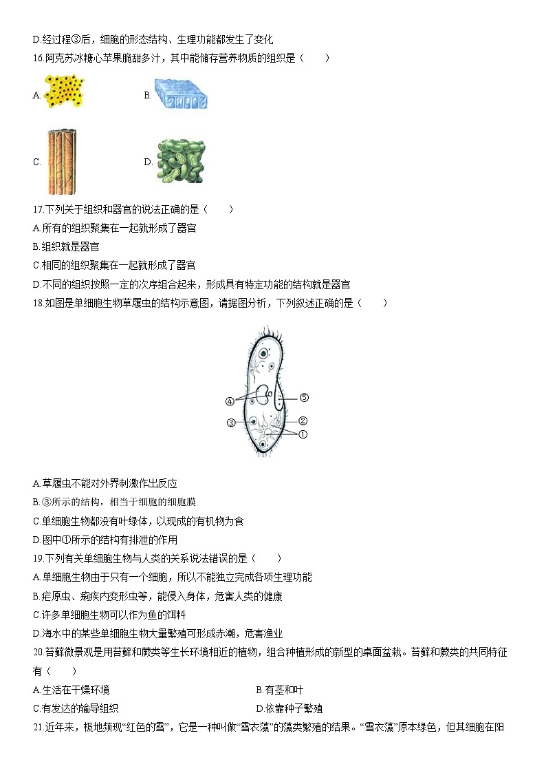2025-2026学年新疆乌鲁木齐市七年级上学期期末考试生物试卷(学生版)第3页
