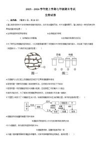 2025-2026学年内蒙古兴安盟乌兰浩特市七年级上学期期末考试生物试卷（学生版）