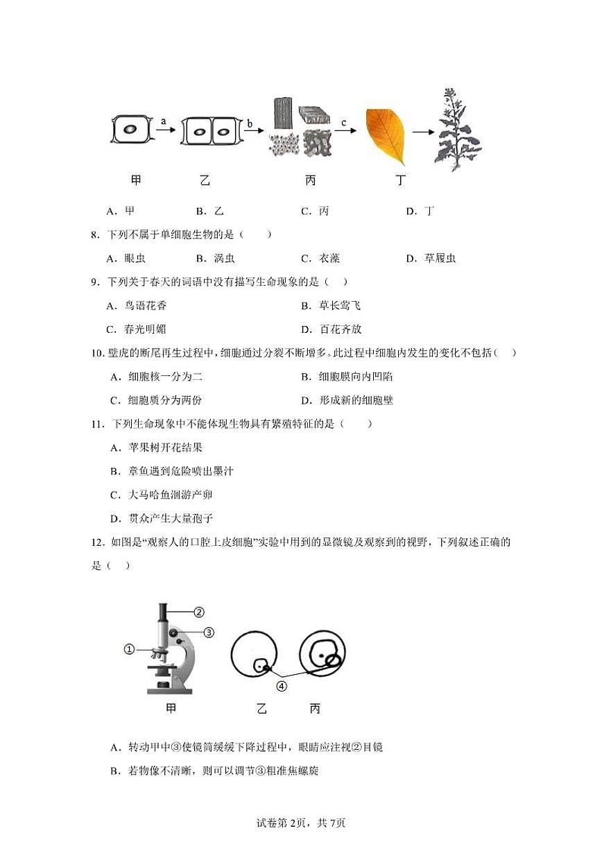 2025-2026学年七年级生物上册期末新人教版综合测试习题(含答案)第2页