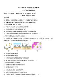 广东省广州市第八十九中学2023-2024学年八年级下学期期中生物学试题（含答案）