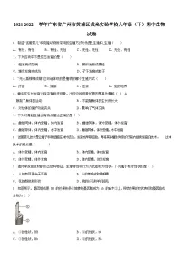 广东省广州市黄埔区戎光实验学校2021-2022学年八年级下学期期中生物试题（含答案）