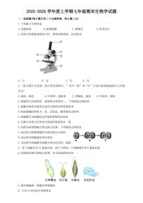 2025-2026学年吉林省长春市力旺实验初级中学度上学期七年级期末生物教学诊断试题（含答案）