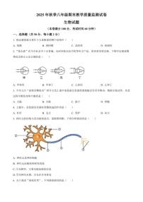 2025-2026学年福建省泉州市泉港区八年级上学期期末生物学（无答案）试题