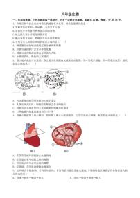 2025-2026学年江苏省南通市海安市八年级上学期期末生物学（无答案）试题
