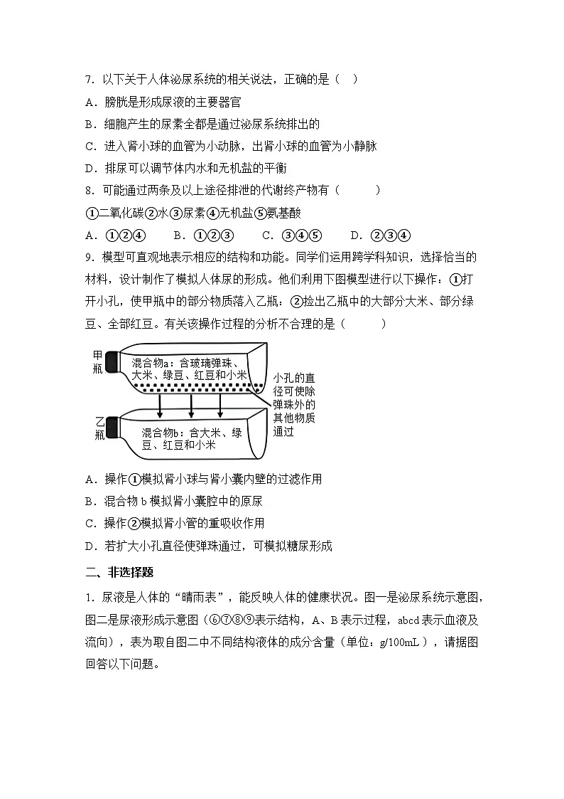 4.5 人体内废物的排出(分层作业)(原卷版)初中生物人教版(2024)七年级下册第3页