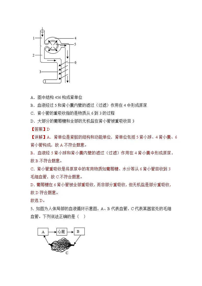 4.5 人体内废物的排出(分层作业)(解析版)初中生物人教版(2024)七年级下册第3页