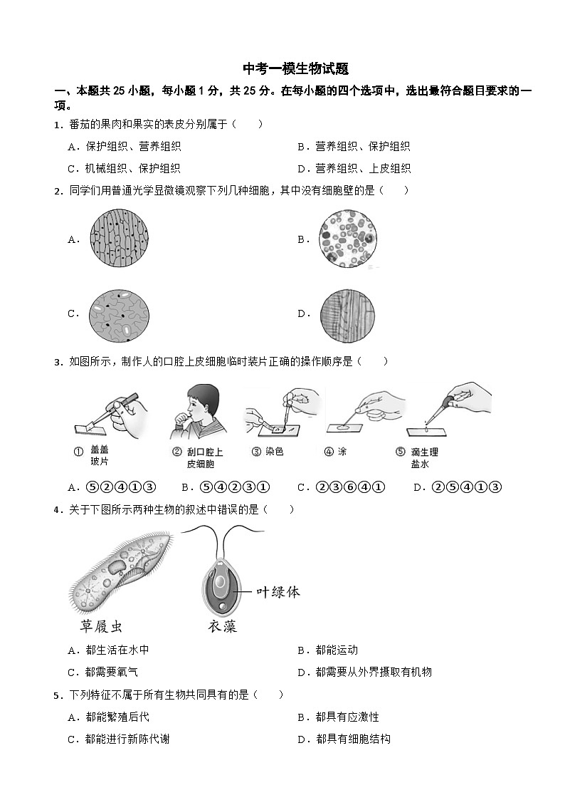 广东省江门市2026年中考一模生物试题附答案第1页