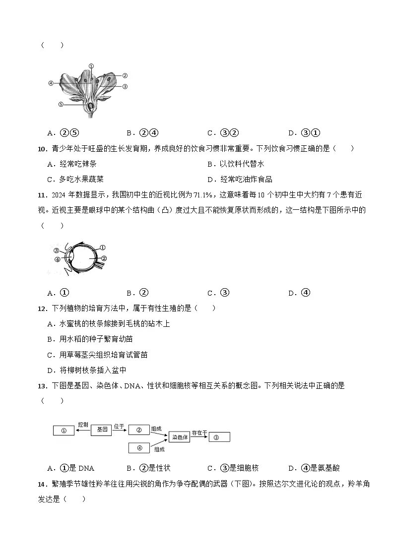 广西桂林市2026年中考一模生物试题附答案第3页