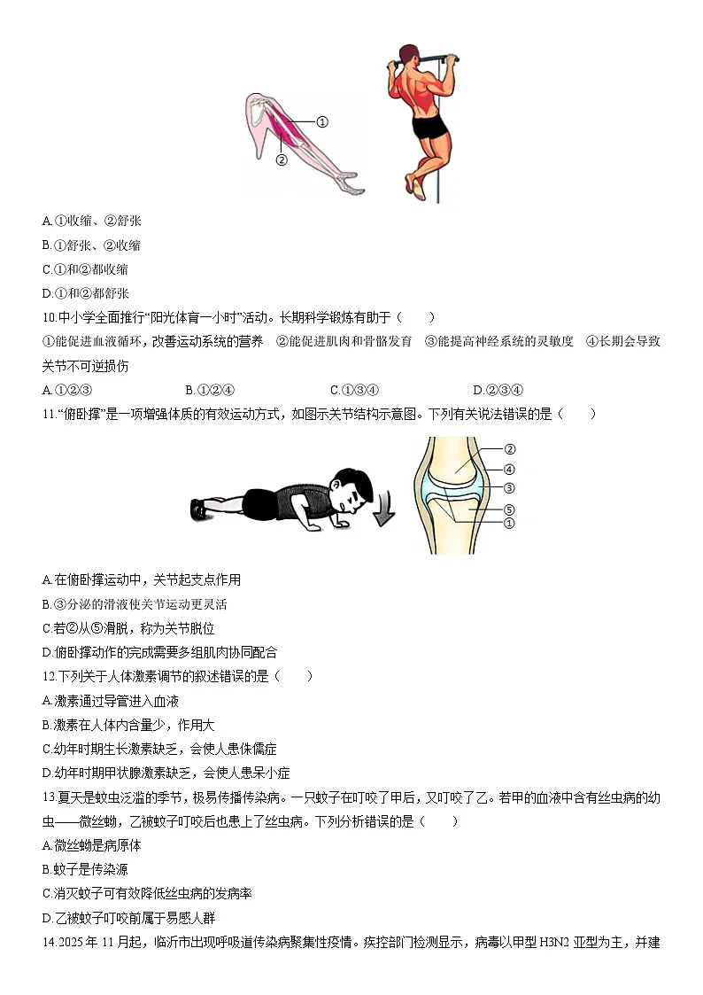 2025-2026学年山东省临沂市兰山区八年级上学期期末生物试卷(学生版)第3页