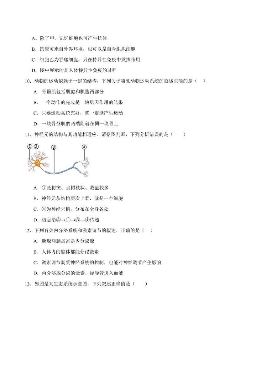 2025-2026学年湖南省邵阳市新邵县八年级上学期1月期末考试生物试卷(含答案)第3页