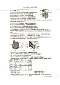 江苏沛县树人学校等校2025-2026学年八年级上学期期末考试生物试题