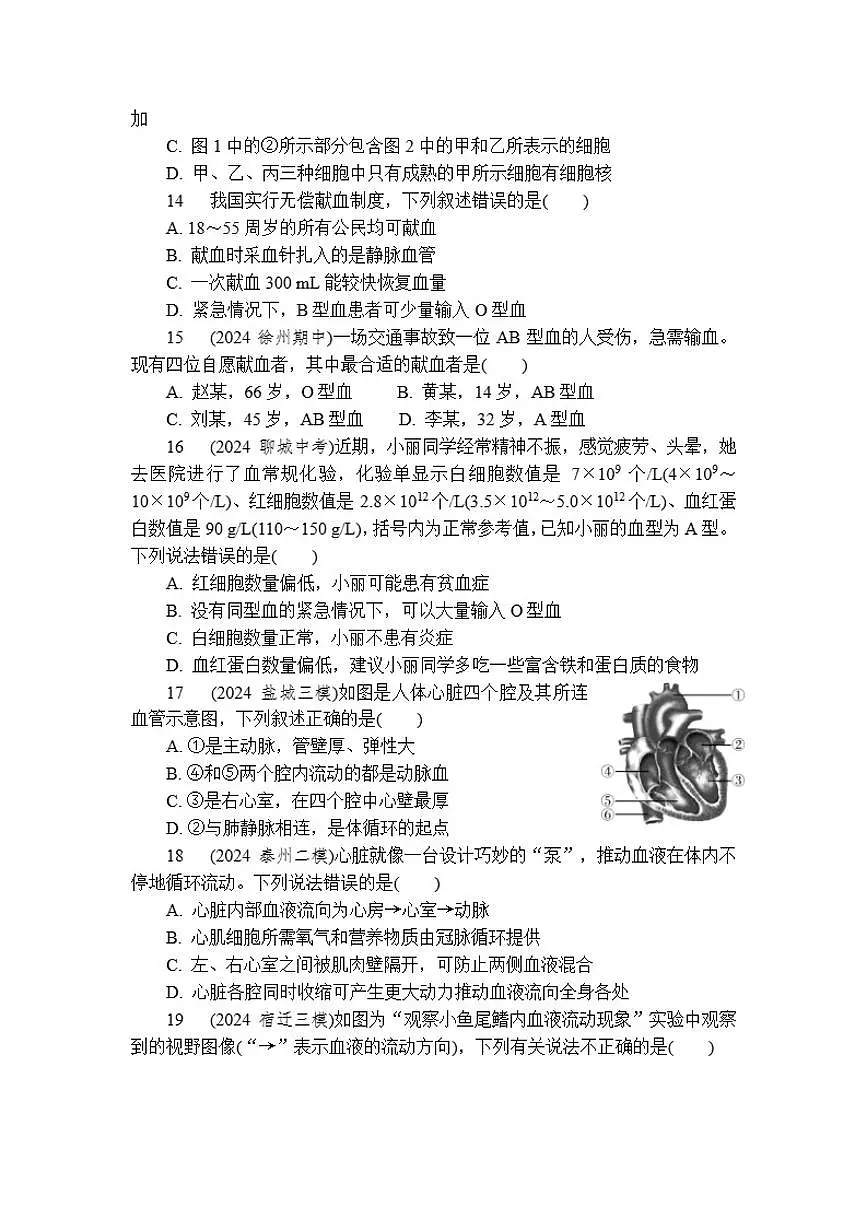 八年级上册期中检测苏科版生物(2024)(含答案)第3页