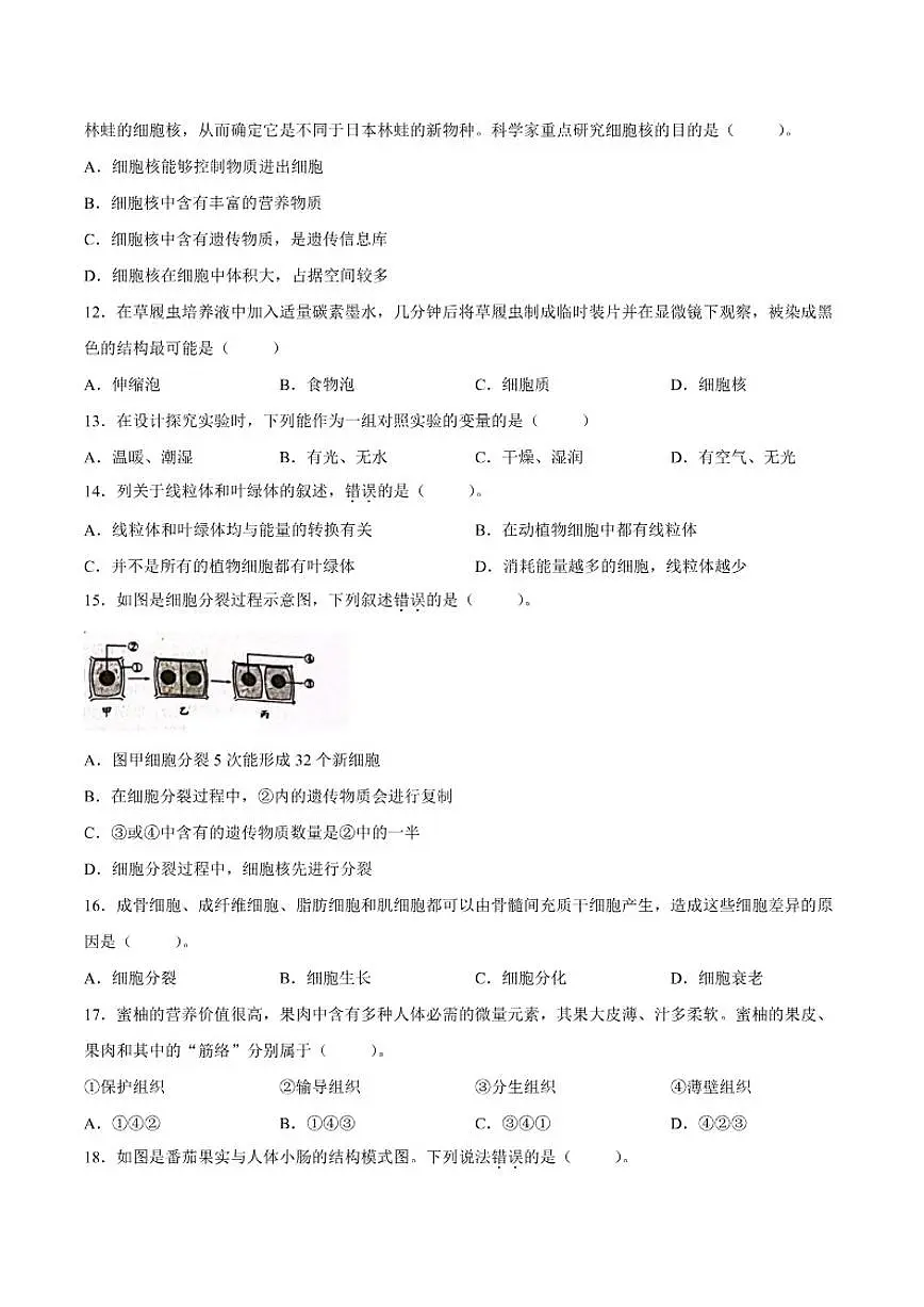 2025-2026学年广东省揭阳市惠来县七年级上学期1月期末生物试题(含答案)第3页