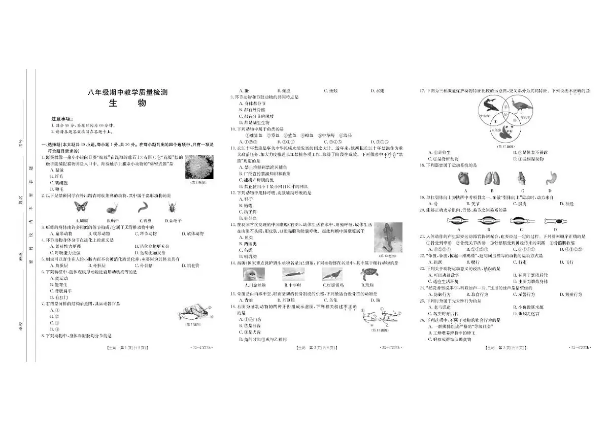 2024-2025学年陕西省西安市第八十五中学八年级上学期期中考试生物试题(含答案)第1页