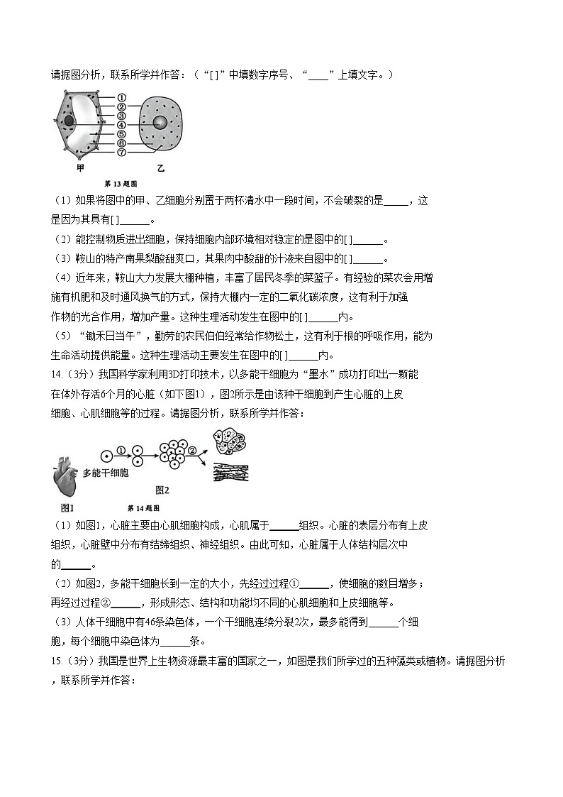 辽宁省鞍山市2025_2026学年七年级上学期1月期末生物试题(文字版,含答案)第3页