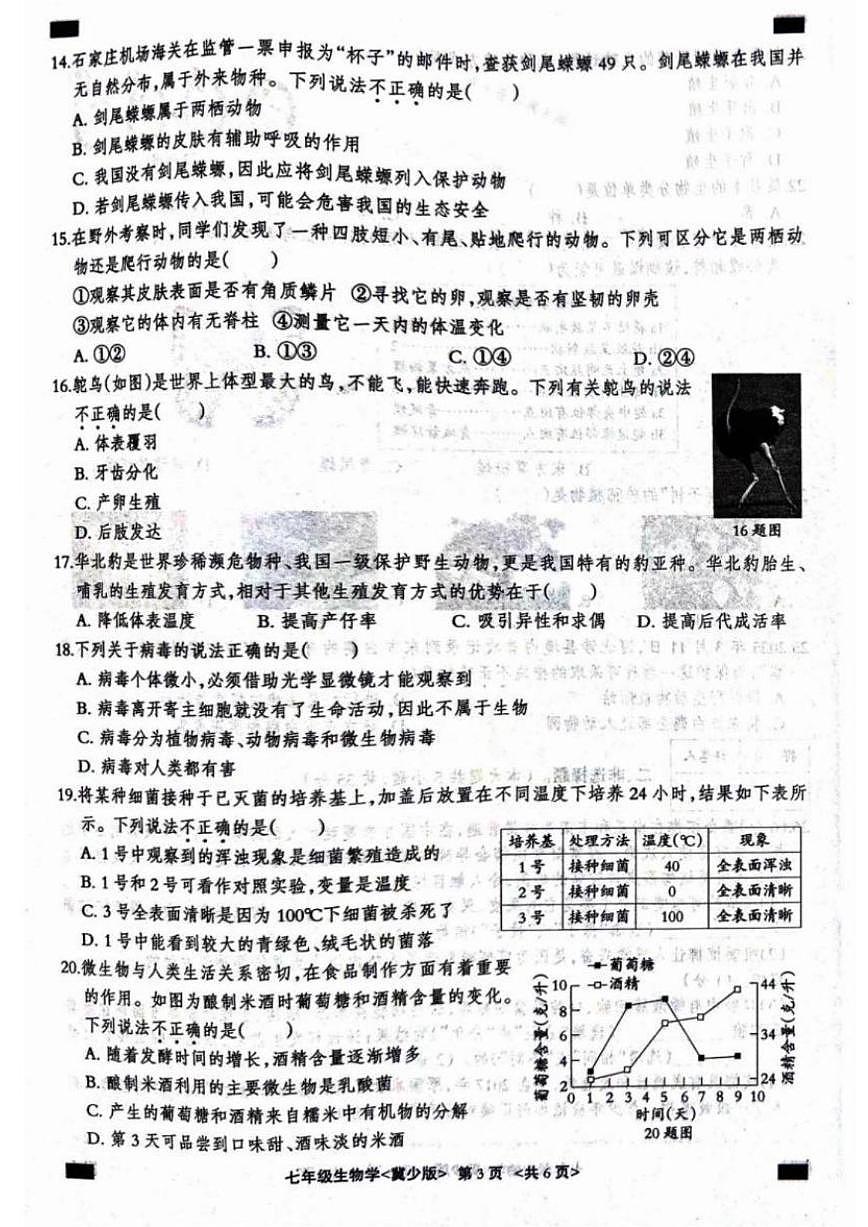 2025-2026学年河北省张家口市张北县七年级上学期1月期末生物试题(含答案)第3页