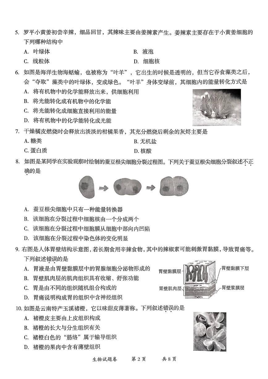2025-2026学年云南省曲靖市七年级上学期1月期末生物试题(含答案)第2页