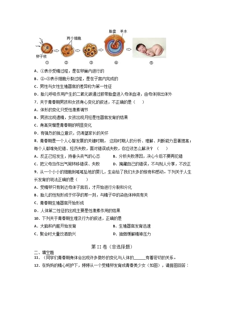 4.1.2 青春期 课后练习 -2025--2026学年 七年级生物·下册(人教版)第2页