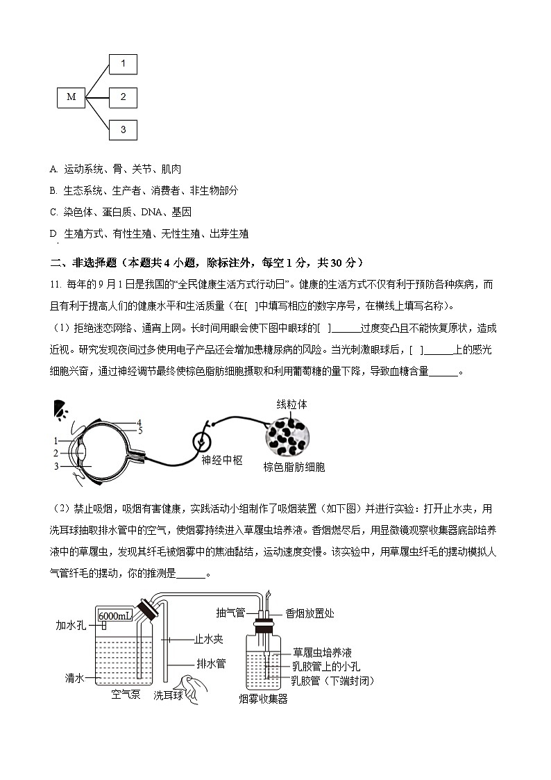 湖北老河口市2025--2026学年八年级上学期期末学业质量综合监测生物试题(试卷+解析)第3页
