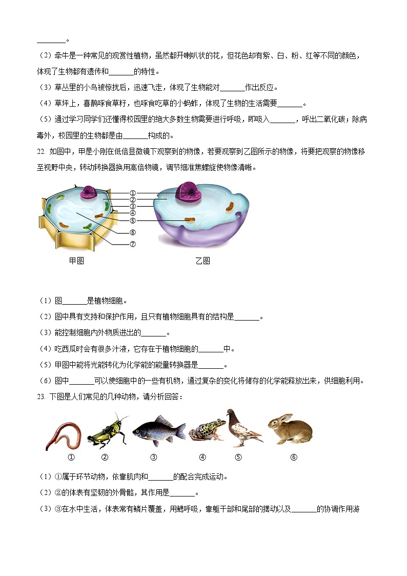 河南周口市郸城县2025--2026学年第一学期期末学情调研七年级生物试卷(试卷+解析)第3页