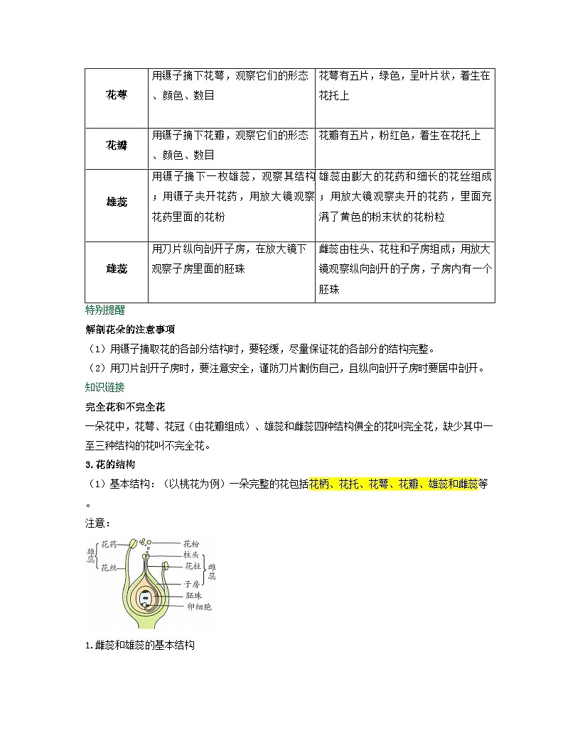 第三单元 第1章 第3节 开花和结果 2025-2026学年初中生物人教版2024七年级下册同步讲义(原卷版)第2页