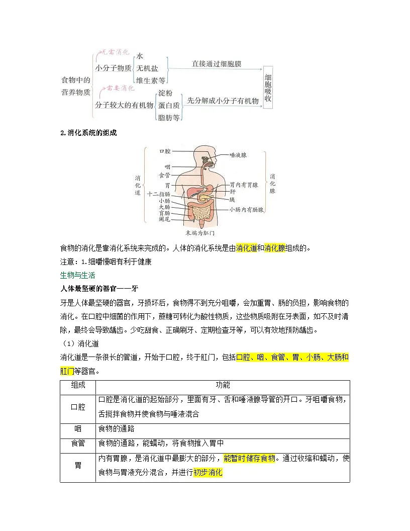 第四单元 第2章 第2节 消化和吸收 2025-2026学年初中生物人教版2024七年级下册同步讲义(解析版)第2页