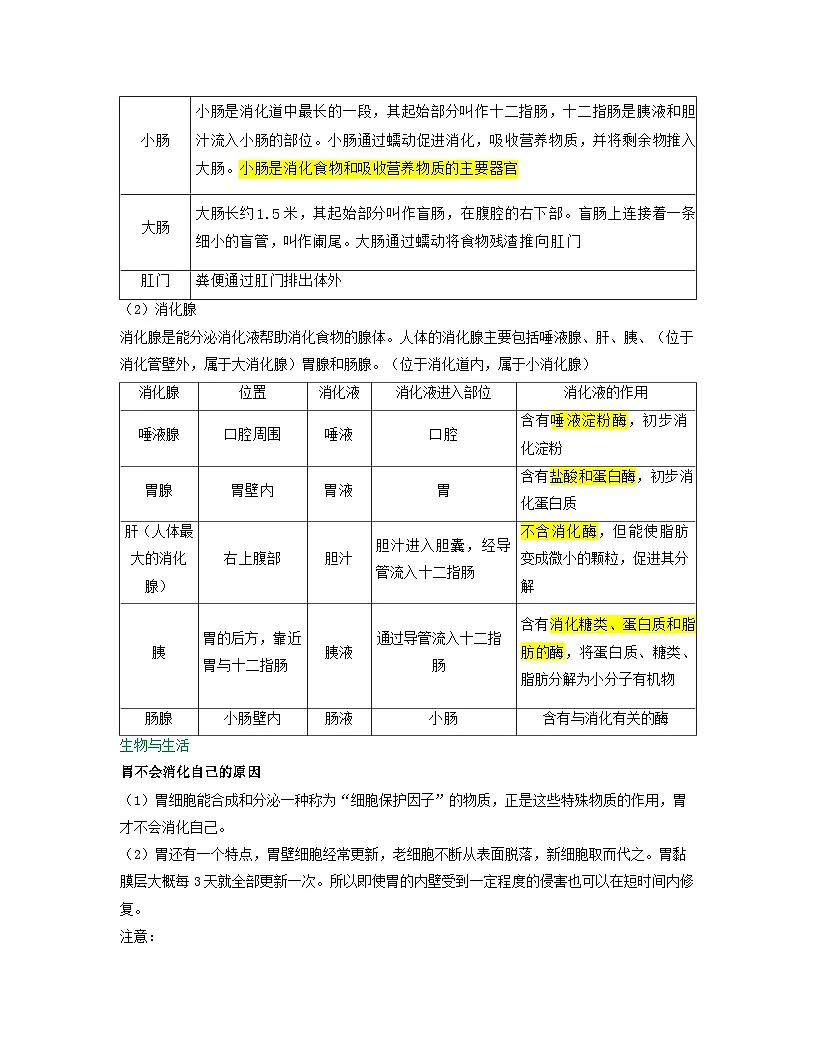 第四单元 第2章 第2节 消化和吸收 2025-2026学年初中生物人教版2024七年级下册同步讲义(解析版)第3页