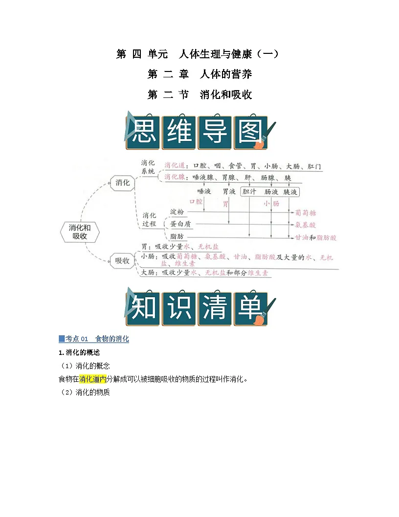 第四单元 第2章 第2节 消化和吸收 2025-2026学年初中生物人教版2024七年级下册同步讲义(原卷版)第1页