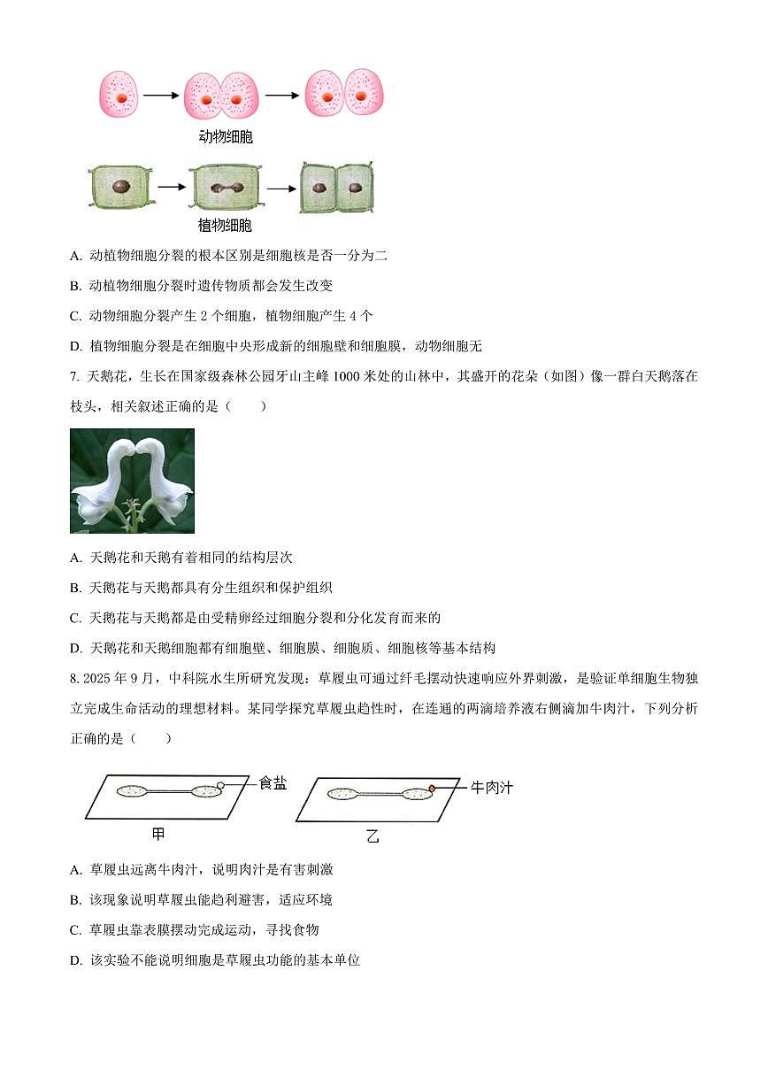 山东滨州市邹平市2025-2026学年度第一学期期末学情调研七年级生物试题(试卷+解析)第3页